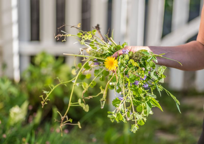 Garden Bed Weeding