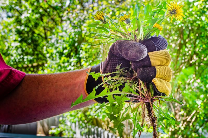 Garden Bed Weeding Costs — Cost of Garden Bed Weeding