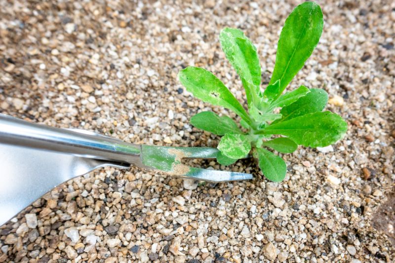 Tools for Weed Removal